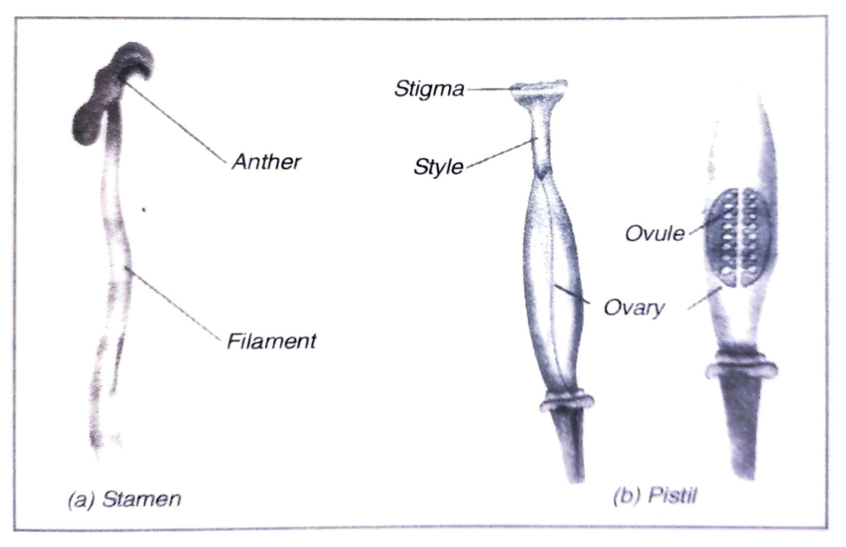 Class 7 Science