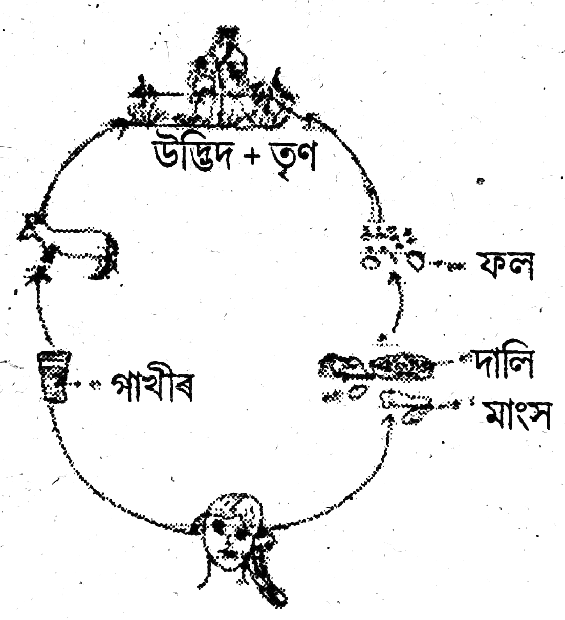 Class 7 Science