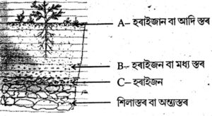 Class 7 Science 