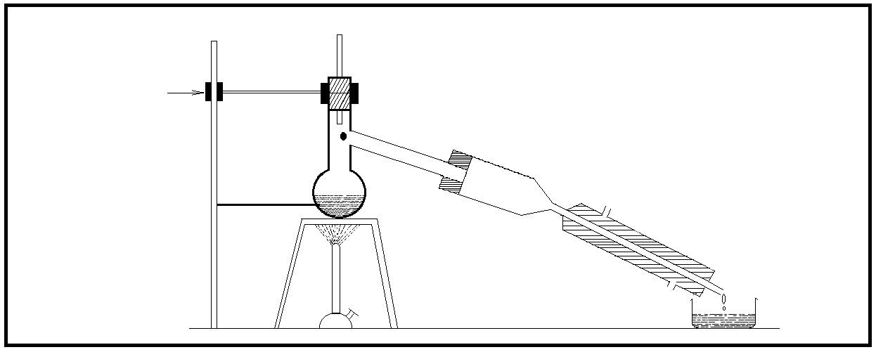 GENEARL SCIENCE PAGE NO 24 ART.png