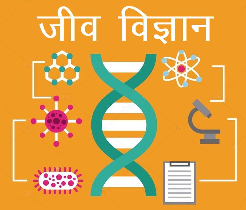 Graphical user interface, application
Description automatically generated