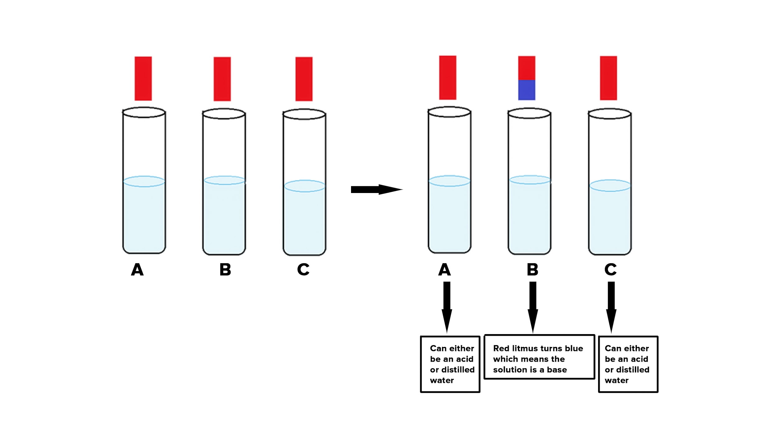 Class 10 Science 