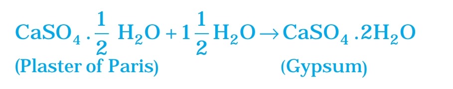  class 10 science