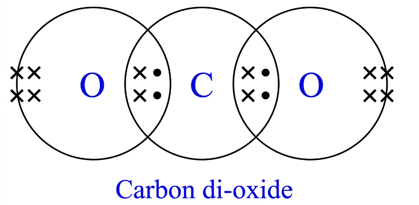 class 10 science