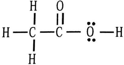 Class 10 Science 