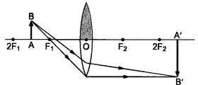 Class 10 Science