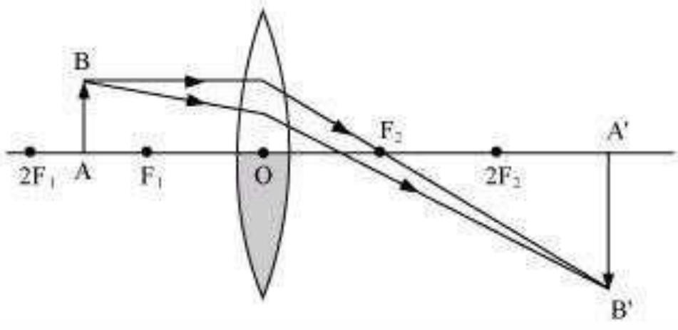 Class 10 Science