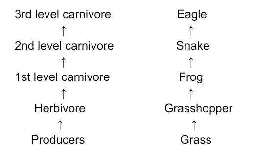 Class 10 Science