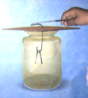 class 8 science