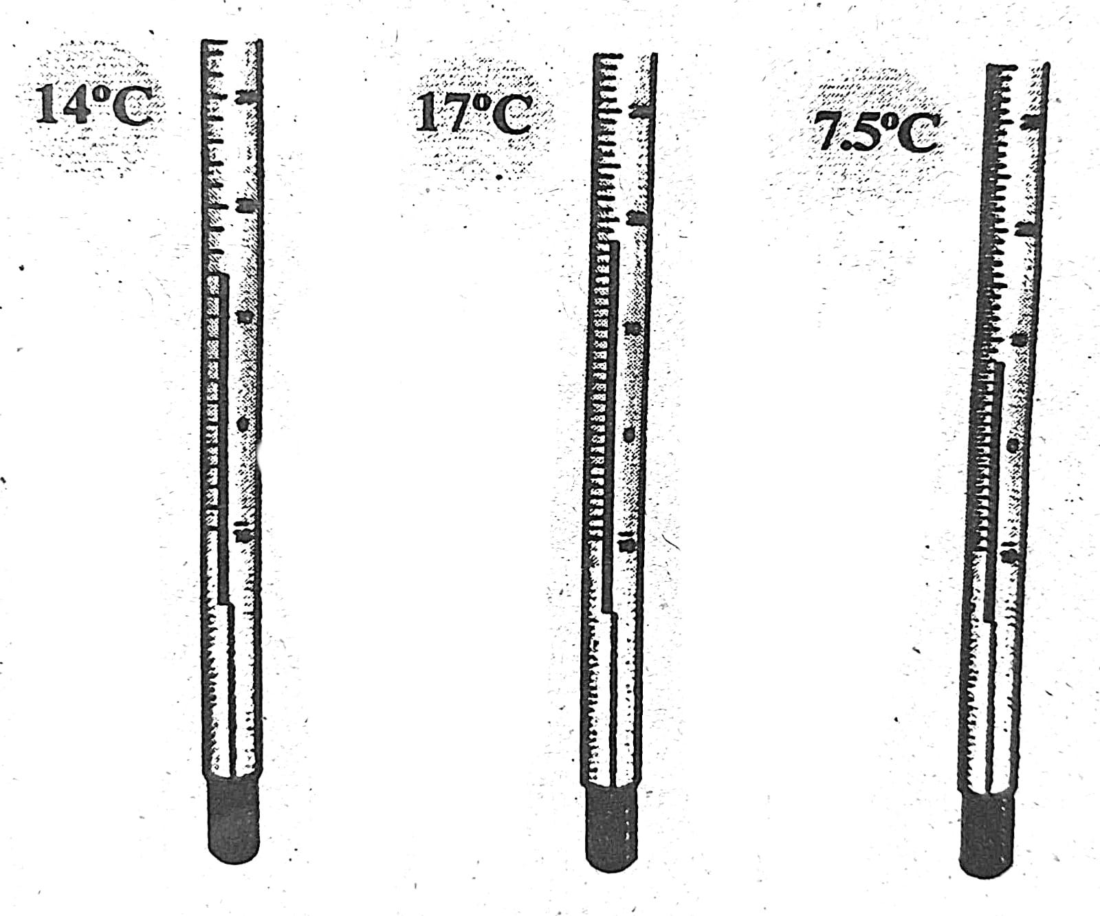 Class 6