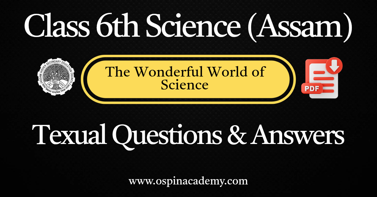 Class 6 Amar Bigyan Chapter 1 The Wonderful World of Science Solutions | SCERT Assam | English Medium