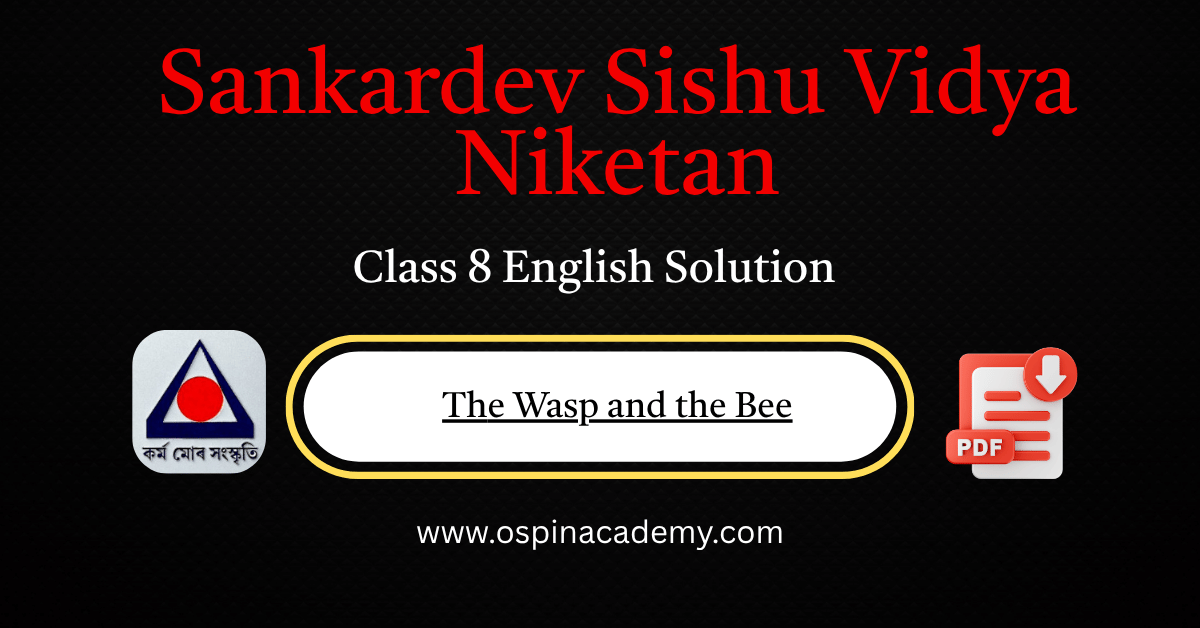 CLASS 8